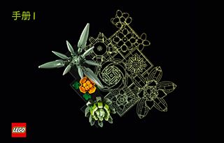 10309_ZHSI_BI_BK1_Build_Translate