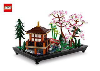 10315_ES_BI_Build_Translate