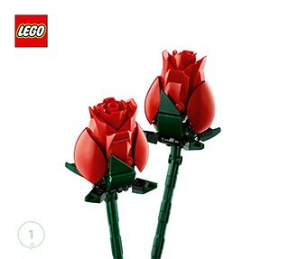 10328_DE_BI_BK1_Build_Translate