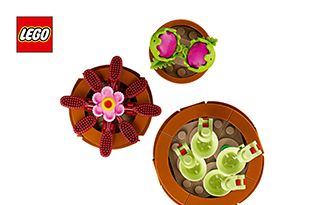 10329_DE_BI_BK2_Build_Translate