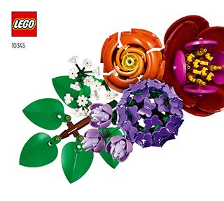 10345_IT_BI_Build_Translate