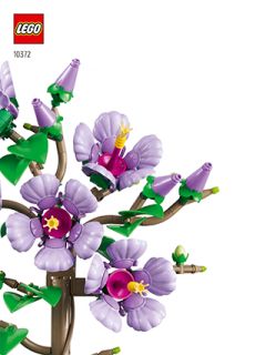 10372_IT_BI_Info_Booklet