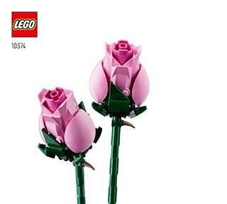 10374_ZHSI_BI_BK1_Build_Translate