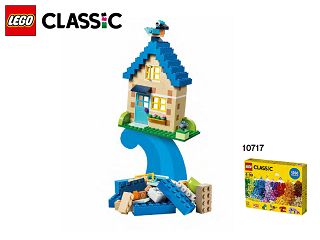 10717_X_House