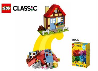 11005_X_House