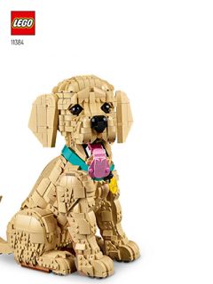 11384_ES_BI_Build_Translate