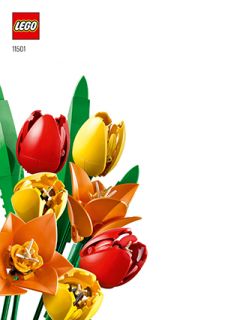 11501_ES_BI_Info_Booklet