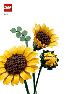 11502_IT_BI_BK2_Build_Translate