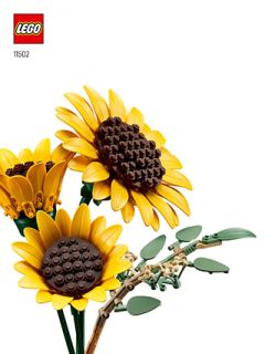 11502_IT_BI_BK1_Build_Translate