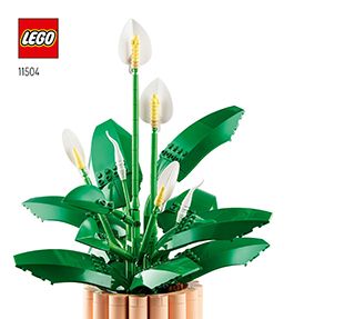 11504_FR_BI_Build_Translate