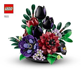 11513_DE_BI_Build_Translate