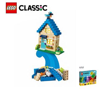 11717_X_House