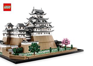 21060_FR_BI_Build_Translate