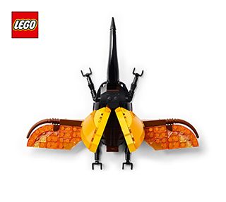 BI 3106, 60+4, 21342 3/4 V29