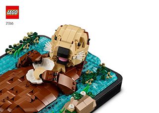 21366_ZHSI_BI_Build_Translate