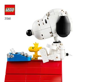 21368_IT_BI_Build_Translate