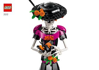 21372_ZHSI_BI_Build_Translate