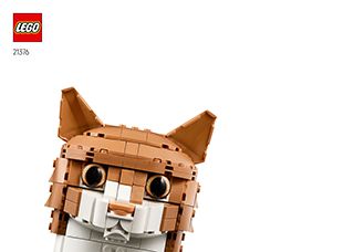 21376_DE_BI_Build_Translate