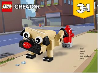 30542_X_Cute Pug