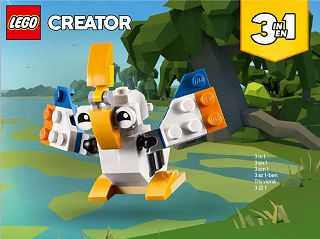 30571_X_Bird