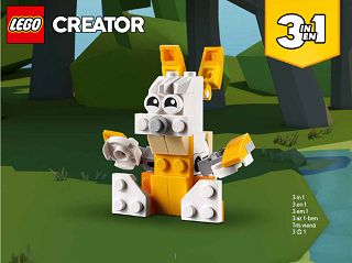 30571_X_Bunny