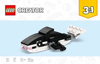 30641_02_BI_Build_Alt