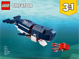 31088_X_Whale