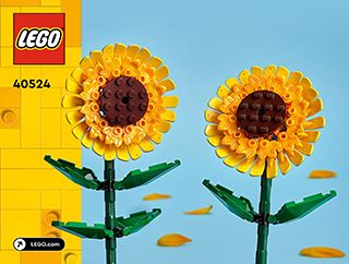 BI 3102, 28, 40524 V39