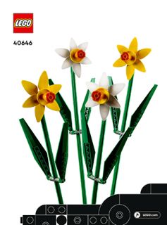 BI 3105, 20, 40646 V29