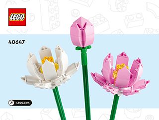 BI 3102, 40, 40647 V29