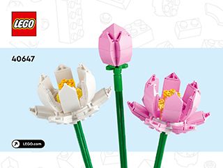 BI 3102, 40, 40647 V29