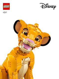 43247_FR_BI_Info_Booklet