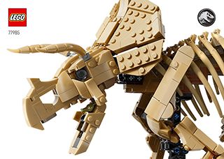 77985_IT_BI_Build_Translate