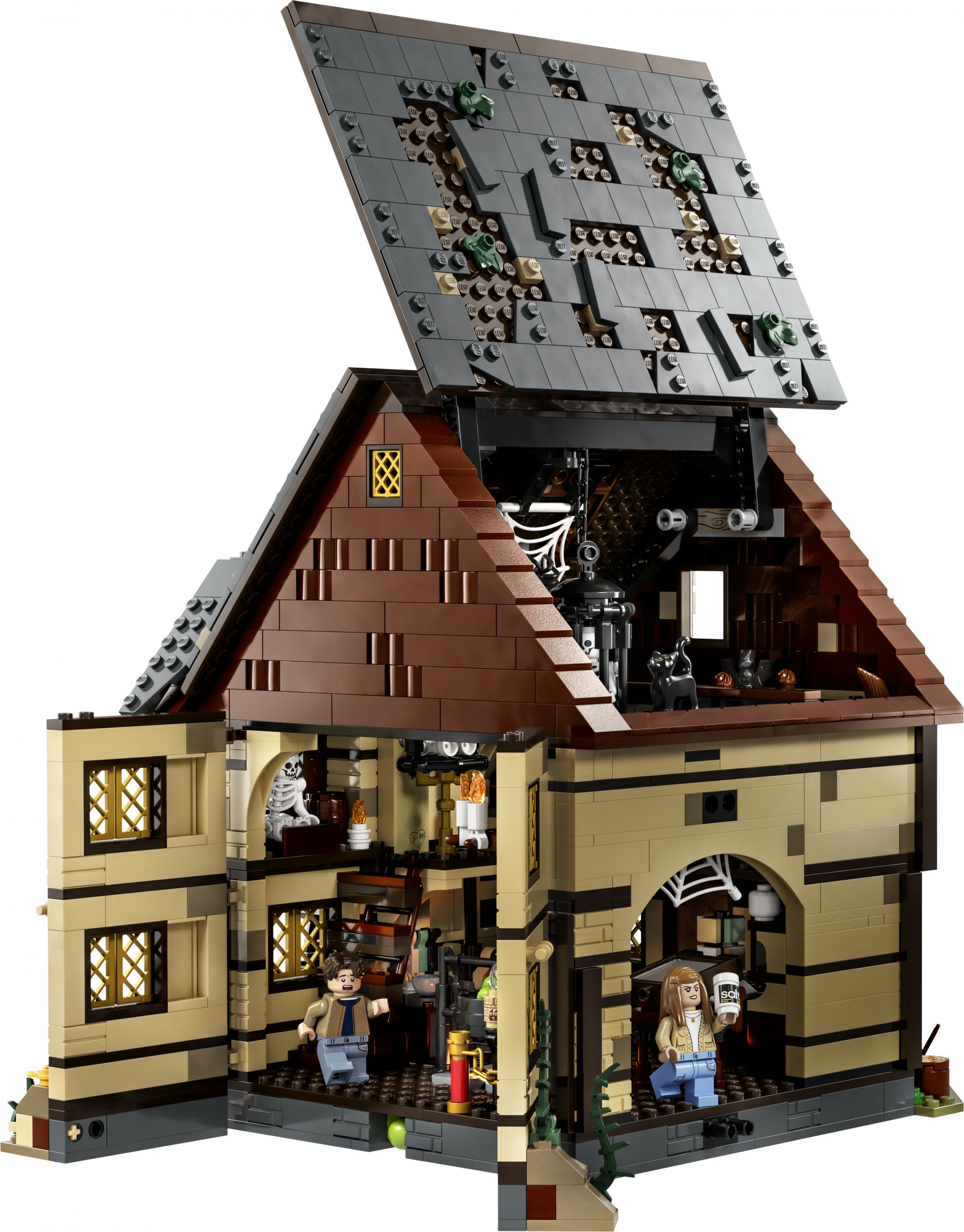LEGO Ideas 21341 Disney Hocus Pocus: Das Hexenhaus der Sanderson-Schwestern LEGO_21341_Back_01_01.jpg