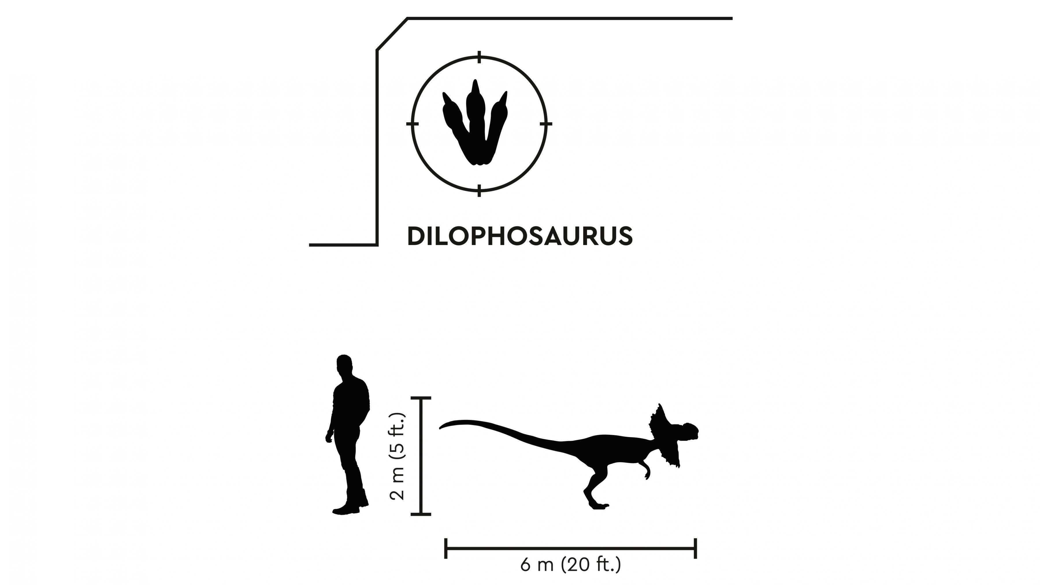 LEGO Jurassic World 76951 Pyroraptor & Dilophosaurus Transport LEGO_76951_WEB_SEC04_NOBG.jpg