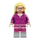 LEGO Ideas 21302 The Big Bang Theory