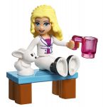 LEGO Seasonal 41102 LEGO® Friends Adventskalender 2015
