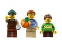 LEGO Bricklink 910073 Kürbisbeet