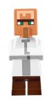 LEGO Minecraft 21128 Das Dorf