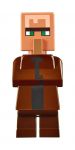 LEGO Minecraft 21128 Das Dorf
