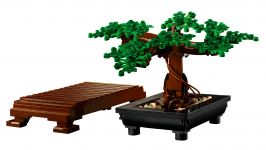 LEGO 10281 - Bild 6