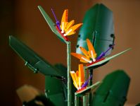 LEGO 10289 - Bild 12