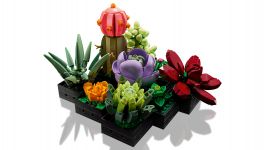LEGO 10309 - Bild 2