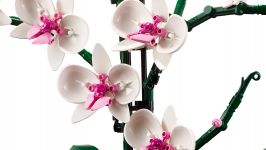 LEGO 10311 - Bild 3