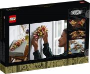 LEGO 10314 - Verpackung Rueckseite