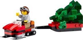 LEGO 10325 - Bild 9