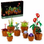 LEGO 10329 - Verpackung mit fertigem Modell