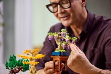 LEGO Botanicals 10373 Mini-Bonsais LEGO_10373_Lifestyle_Build_06_en-gb.jpg