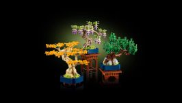 LEGO Botanicals 10373 Mini-Bonsais LEGO_10373_pri.jpg