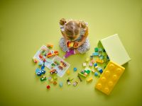 LEGO 10439 - Lifestyle-Aufnahme